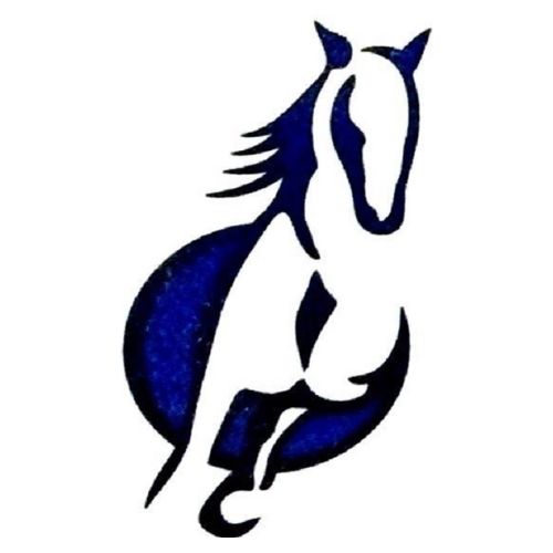 Equine Cover Washing Logo