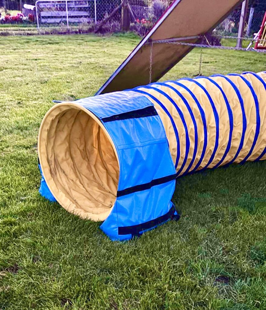 Agility Tunnel Bags - The Horse & Hound Shop