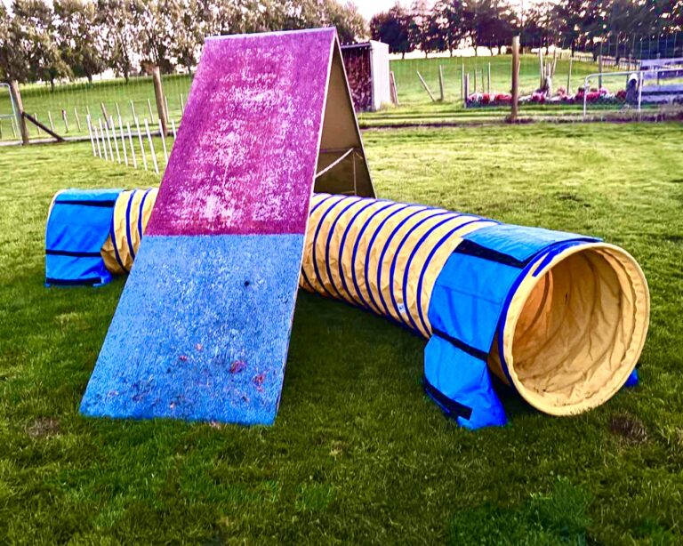 Cinturino Per Fissaggio Tunnel Cool Runners Tunnel Che Abbraccia Non Restringe PVC Cane Agilità Tunnel Borse Zavorra Tunnel Agility Cane - 3